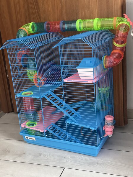 Vand adidasi nr. 34 si ghete nr. 35 purtate o singura data.